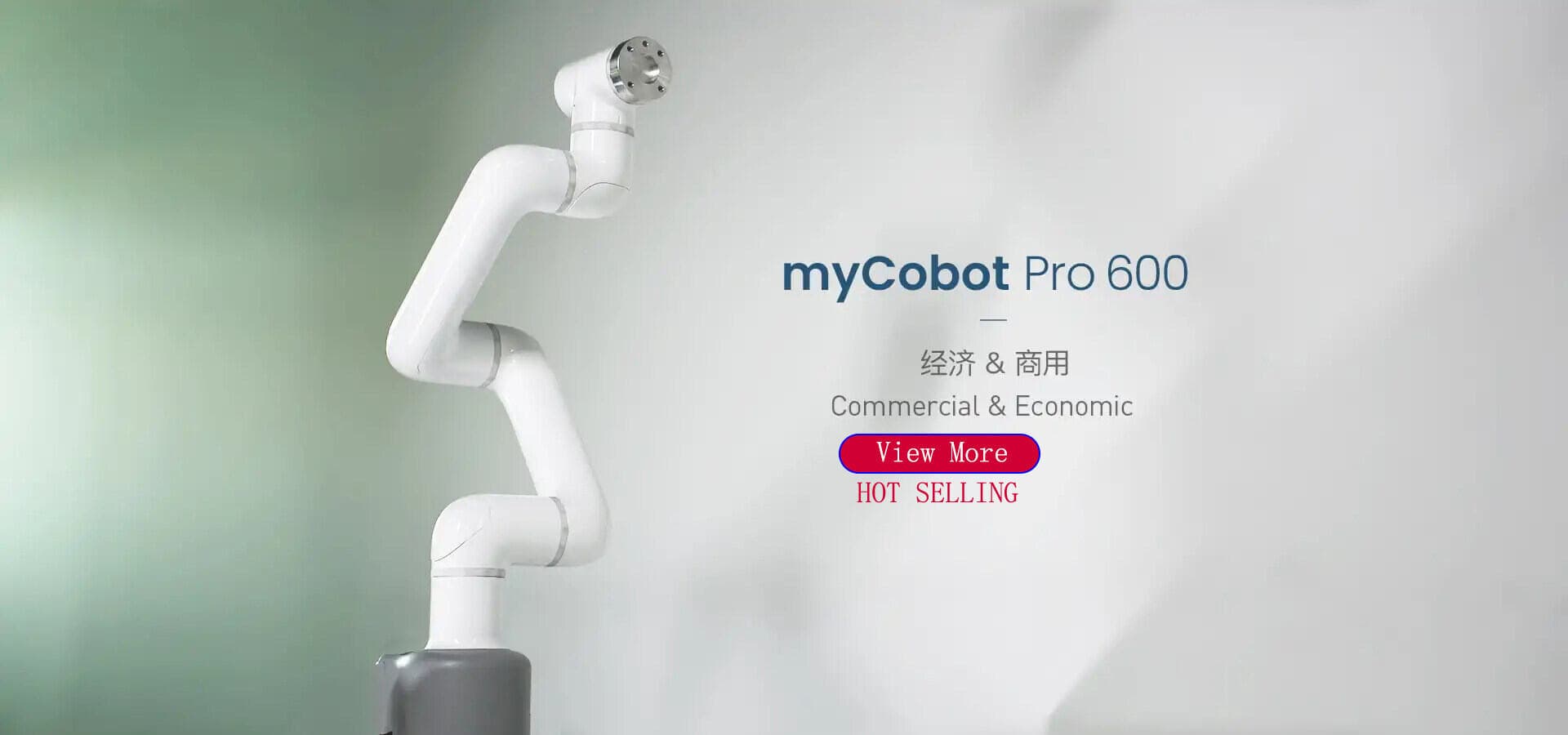 Mycobot Pro 600